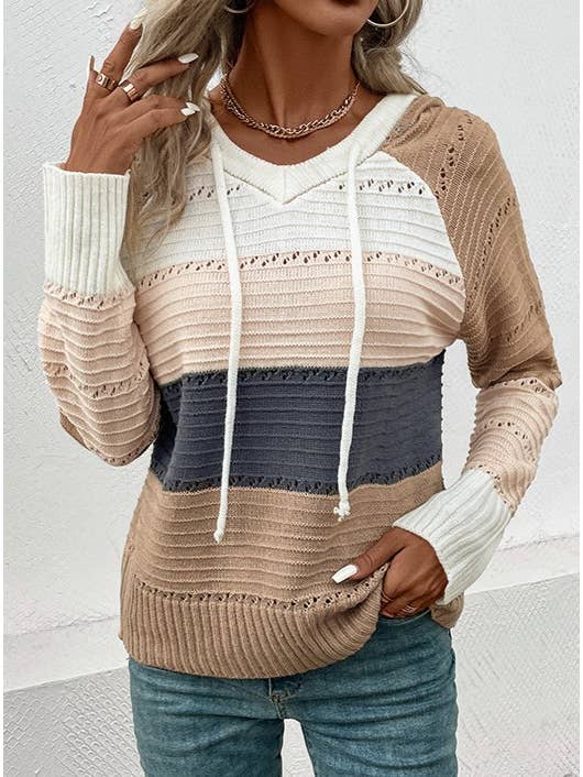 Hooded Color Block Knit Top